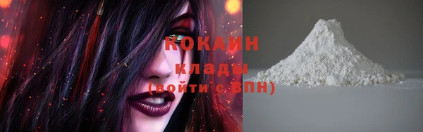 молекула духа Надым