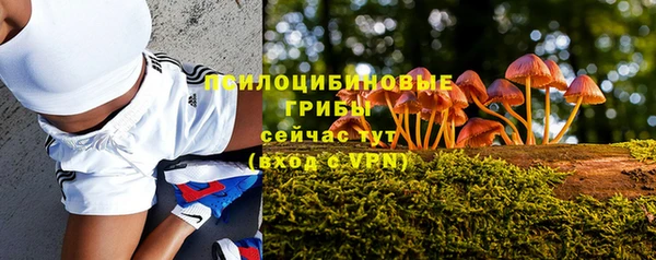 молекула духа Надым
