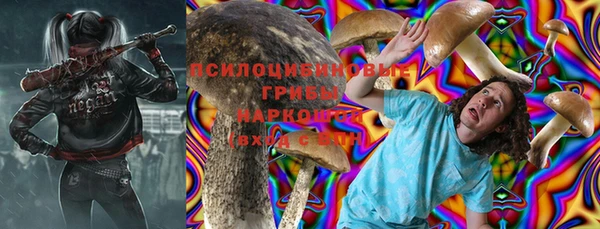 молекула духа Надым