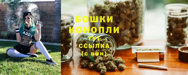 СК Михайлов