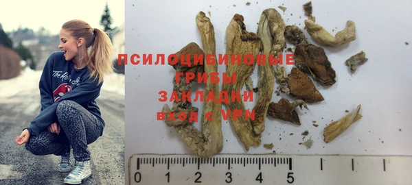 шишки Навашино