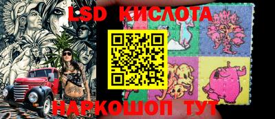 дмт Камышлов