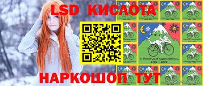 дмт Камышлов