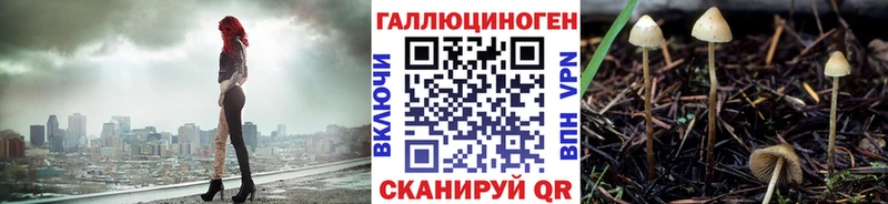 дарк нет официальный сайт  Нижний Тагил  Псилоцибиновые грибы MAGIC MUSHROOMS 