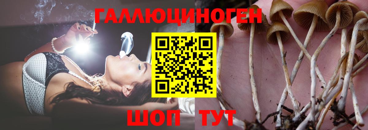 Галлюциногенные грибы Magic Shrooms Нижний Тагил